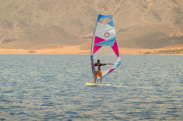 the windsurfer on a board under a sail moves on a calm sea at a low speed, against a background of a sandy coast and a hill, Dahab, Egypt