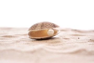 Sea shell with pearl on a sandy beach