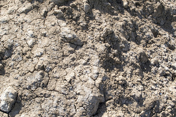 Background of brown earth