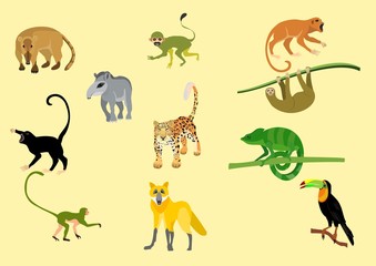 Tropical animals vector set, animals icons, jaguar, wolf, chameleon, tapir, ape.