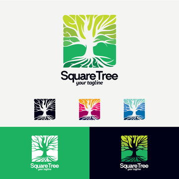 Square Tree Logo Designs Template