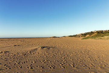 Patterned Beach Sand with Footprints Coastal Blue Sky Landscape