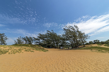 Fototapeta na wymiar View of Saint Lucia Beach and Blue Cloudy Sky