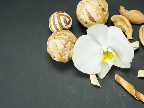 orchid, a white archide flower with a yellow center. black background, spa,  one flower