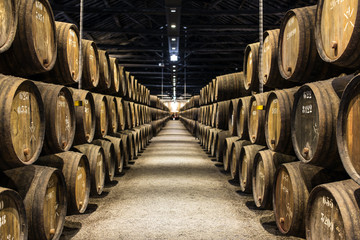 Row of wooden porto wine barrels in wine cellar Porto, Portugal.