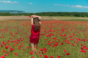 A girl in red dress in huge poppy field 