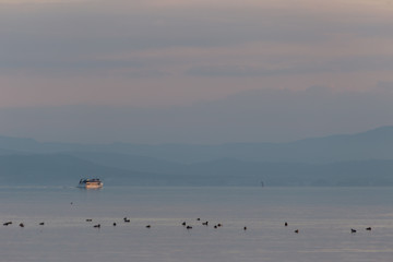 A ferry on Trasimeno lake (Umbria, Italy) at dusk, with a line of out of focus ducks in the foreground