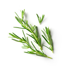 fresh raw rosemary © Mara Zemgaliete