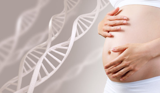 Young pregnant woman caress belly among DNA stem.