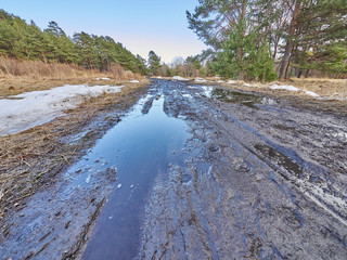 dirt road and puddles in the forest. Spring