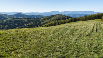 Naklejka premium A spring view in the morning from a clearing in the Beskid Mountains.