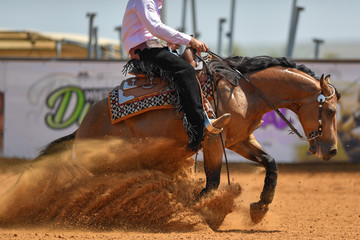 The side view of a rider in jeans, cowboy chaps and checkered shirt on a reining horse slides to a stop in the red clay an arena.
