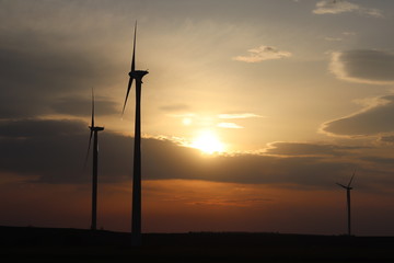 Wind power station in the sunset.  Rotating blades of energy generators. Ecologically clean electricity. Modern technologies for the use of natural resources.