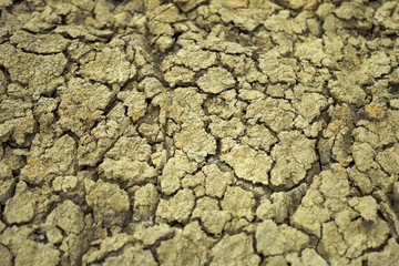 Cracked earth in the desert during a drought