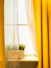 Colorful sheer curtain texture background in daylight atmosphere of apartment's interior and green flower in flowerpot on the window sill.