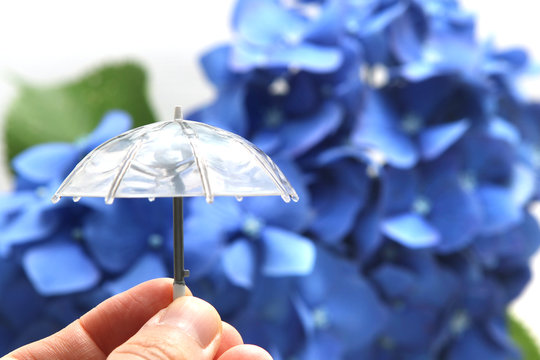 1 529 Best 梅雨イメージ Images Stock Photos Vectors Adobe Stock