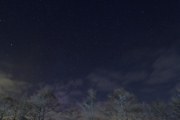 Fototapeta premium 昭和新山の夜景