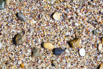 Sea shells, corals, pebble stones for background