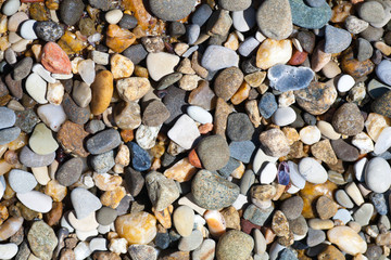 Sea shells, corals, pebble stones for background