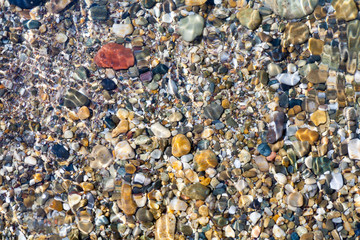 Sea shells, corals, pebble stones for background