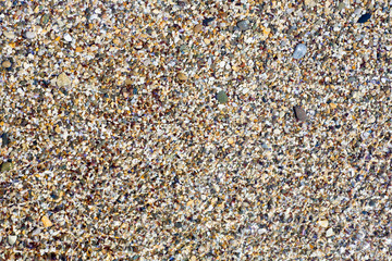 Sea shells, corals, pebble stones for background