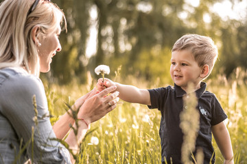 Sohn schenkt seiner Mutter eine Blume