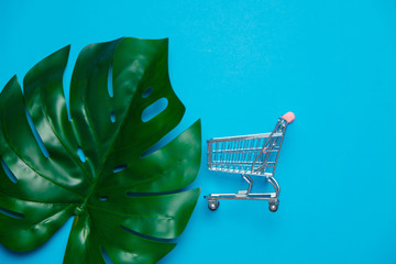 Colored shopping cart and palm leaf. Objects isolated on blue background