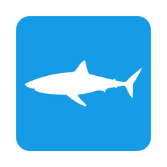 Icono plano tiburon blanco en cuadrado azul