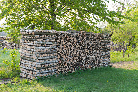 pile of wood at springtime