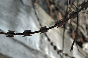 Jail barbed wire fence, close up detail with gray blurry background