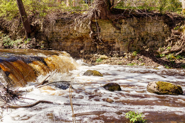 Latvia.pa green coast with old trees floods river with Irving Falls