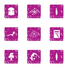 Forest delicacy icons set, grunge style