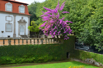Fototapeta premium Beautiful 3-landing garden decorated with a Baroque fountain near Vila Flor. Vila Flor Palace, built by Tadeu Luis Antonio Lopes de Carvalho de Fonseca and Camoes in 18th century. Guimaraes, Portugal