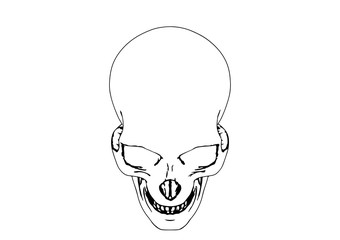 skull sketch vector