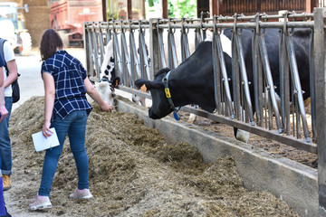 jeune ferme agriculture education enseignement vache
