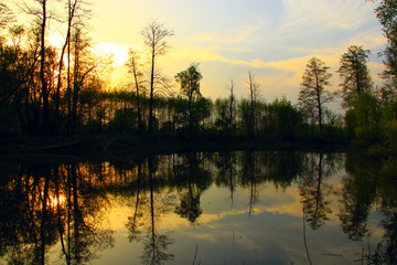 Wild landscape with sunset under river. Trees are reflected in water of river during decline