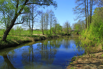Fototapeta na wymiar Landscape with river in spring. Trees are reflected in water of river