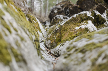 green moss on the rocks