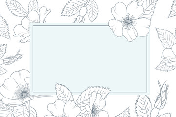 Vintage card template. Wild rose rosa canina flowers line design detailed drawing. Rectangular border frame decoration. Blue outline on white background. Placeholder for text. Vector illustration.