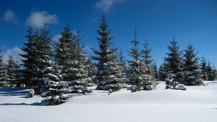 Traumhafte Winterlandschaft und Loipen im Erzgebirge. Langlauf im Schnee.
