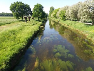 der Fluss Niers an einem Frühlingstag bei Grefrath Oedt