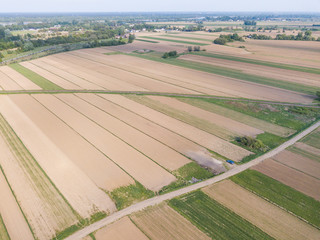 aerial view of green geometric agricultural fields