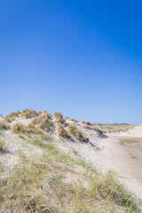 Landscape with sand dunes on the wadden islands in the Netherlands.