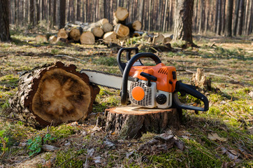 Chain saw in the woods