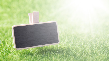 Blank mockup board on green grass background