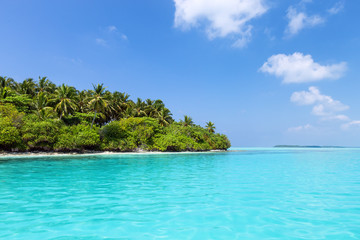 Fototapeta na wymiar Sea with coconut palms island