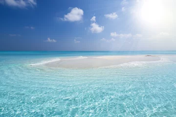 Foto op Canvas Maldivian sandbank in Indian ocean © photopixel
