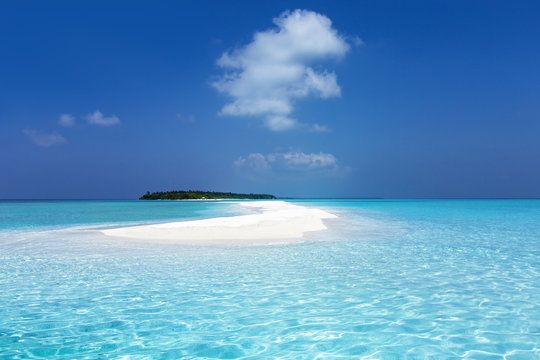 Fototapeta Maldivian sandbank in Indian ocean