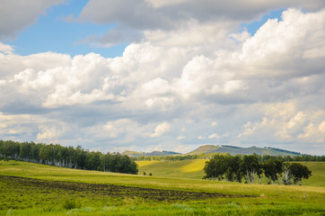 Fototapeta na wymiar Bright summer landscape, green grass and blue sky, Russia