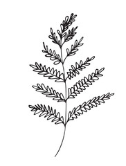 Fototapeta premium Hand-drawn sketch of a plant, isolated on white background
